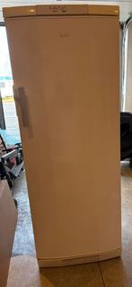 Congélateur armoire AEG ARCTIS, Electroménager, Enlèvement, Utilisé, Congélateur