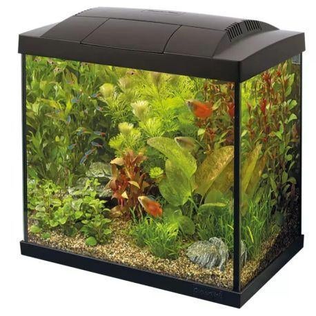 aquarium superfish start 50 tropical kit noir neuf, Animaux & Accessoires, Poisson, Poisson d'eau douce