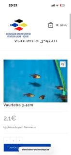 vuur tetra, Dieren en Toebehoren