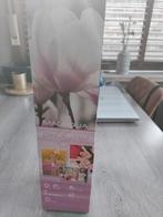 Een splinternieuwe magnolia, Enlèvement ou Envoi