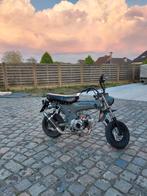 Skyteam Dax / 45km per uur, Ophalen, Klasse B (45 km/u), 4 versnellingen, 50 cc