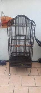 Cage perroquet, Enlèvement ou Envoi