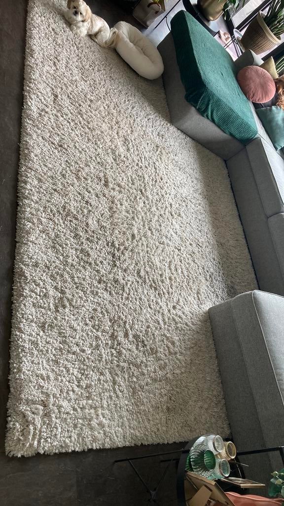 Gratis tapijt, Huis en Inrichting, Ophalen