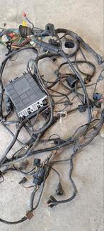 Golf 3 Gti 8s 115pk complete elektrische harnassen