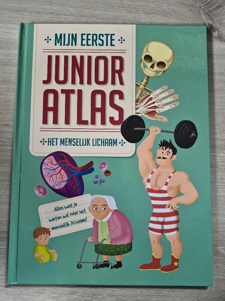 Het Menselijk Lichaam: Mijn eerste junior atlas., Boeken, Ophalen of Verzenden, Zo goed als nieuw