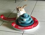 Brits korthaar kitten️, Dieren en Toebehoren, Katten en Kittens | Raskatten | Korthaar, Kater, Gechipt, 0 tot 2 jaar