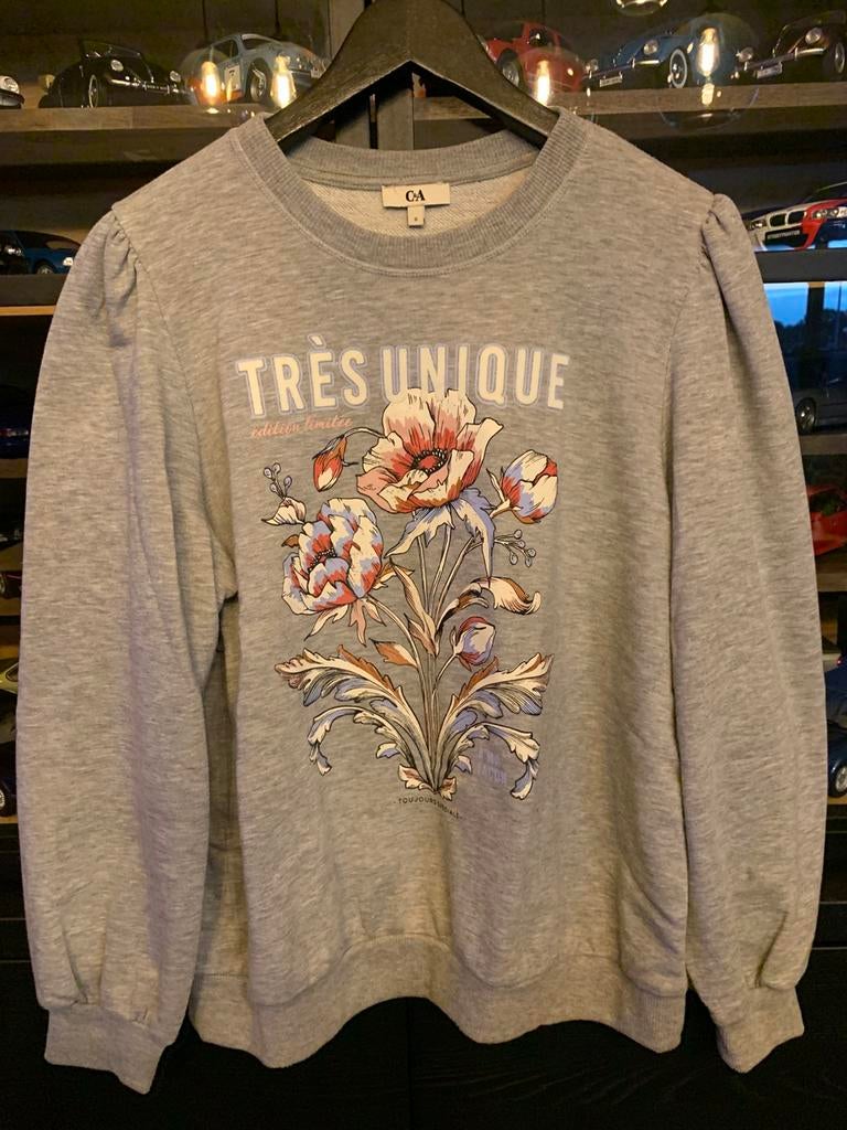 C&A trui, Vêtements | Hommes, Pulls & Vestes, Gris, Enlèvement ou Envoi, C&A, Porté