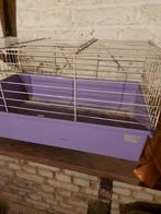 Cage pour rangeurs, Animaux & Accessoires, Autres accessoires pour animaux, Enlèvement, Utilisé