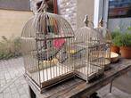 3 Decoratieve vogelkooien, Huis en Inrichting, Ophalen, Zo goed als nieuw