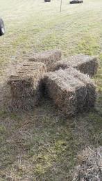 Petites balles/os de foin sec, Animaux & Accessoires, Nourriture pour Animaux, Enlèvement, Autres espèces