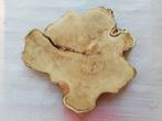Boomstamschijf Robinia, geschuurd aan één zijde, 5 a 6cm dik, Huis en Inrichting, Tafels | Salontafels, Ophalen, Nieuw, Overige houtsoorten