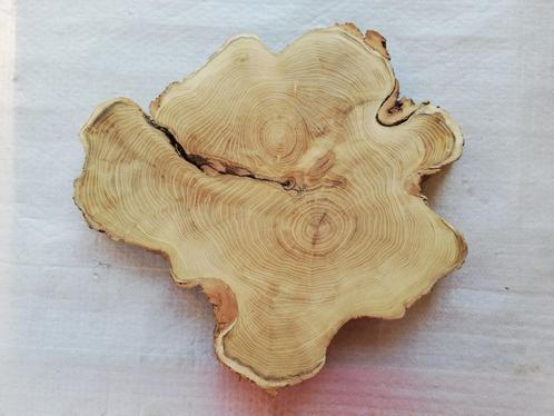 Boomstamschijf Robinia, geschuurd aan één zijde, 5 a 6cm dik, Huis en Inrichting, Tafels | Salontafels, Nieuw, Overige houtsoorten