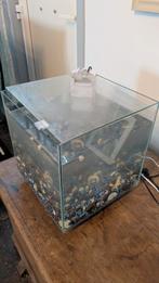 Tom & Co aquarium 14 l, Dieren en Toebehoren, Ophalen, Gebruikt