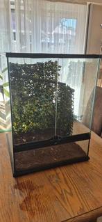 ExoTerra Terrarium 45x45x60, Doe-het-zelf en Bouw, Zonnepanelen en Toebehoren, Ophalen, Zo goed als nieuw