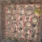 verschillende kaarspotjes, Enlèvement