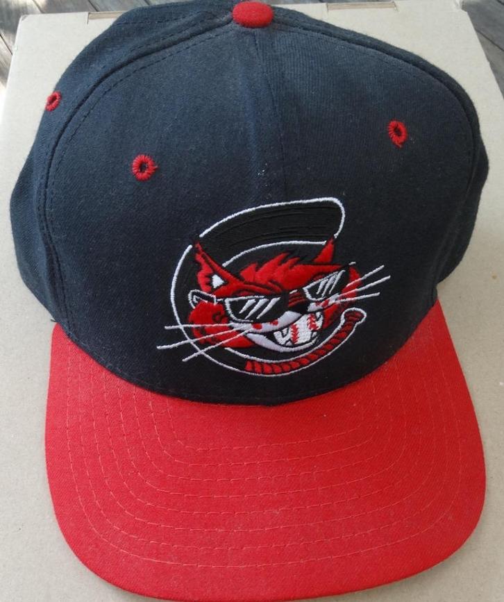 MiLB honkbal/ cap Charleston Alley Cats, Sports & Fitness, Baseball & Softball, Comme neuf, Vêtements, Envoi