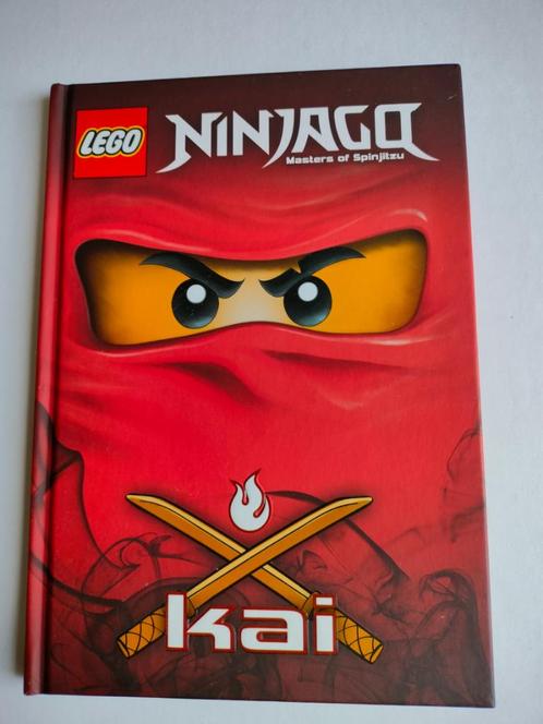Unique🧱 Livre LEGO Ninjago Masters Spinjitzu KAJ Polonia🧱, Collections, Jouets, Comme neuf, Enlèvement ou Envoi