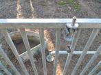 Stalinrichting, Dieren en Toebehoren