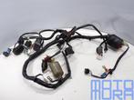 Kabelboom voor de Honda CBR 600 F4i 2001 - 2006 pc35 sport d, Ophalen of Verzenden, Gebruikt