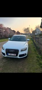 Audi Q5 2.0 automatique, Autos, Audi, Achat, Euro 6, Q5, Automatique