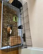 Kooi, Ophalen of Verzenden, Zo goed als nieuw, Kooi, Cavia