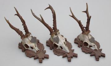 3 x groot REE GEWEI met jacht medaille op houten schild beschikbaar voor biedingen