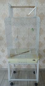 Grote papegaaienkooi met complete accessoires, Ophalen of Verzenden, Zo goed als nieuw