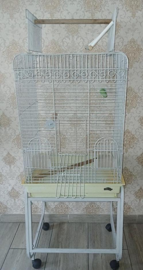 Grote papegaaienkooi met complete accessoires, Dieren en Toebehoren, Vogels | Hokken en Kooien, Zo goed als nieuw, Ophalen of Verzenden