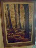 Peinture D. Placied Rosseel, vue sur la forêt sur toile, Enlèvement ou Envoi
