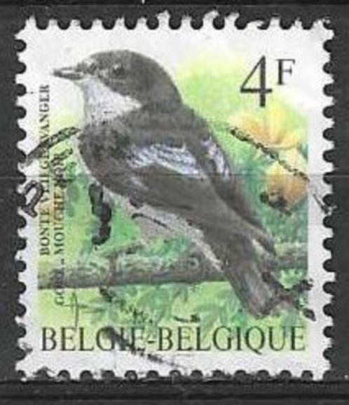 Belgie 1996 - Yvert 2647 /OBP 2654 - Bonte Vliegenvanger (ST, Postzegels en Munten, Postzegels | Europa | België, Gestempeld, Voertuigen