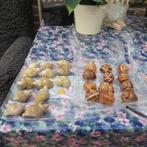 Slakken (4 zakjes) Sint-Jacobsschelpen middelmatig (11x), Ophalen of Verzenden, Zo goed als nieuw, Materiaal