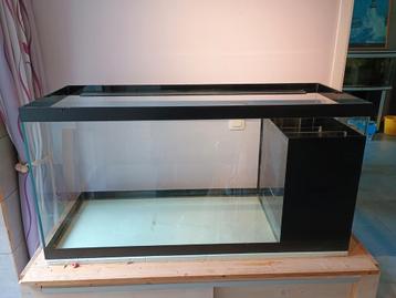 Aquarium 120cm, Enlèvement, Utilisé, Aquarium vide