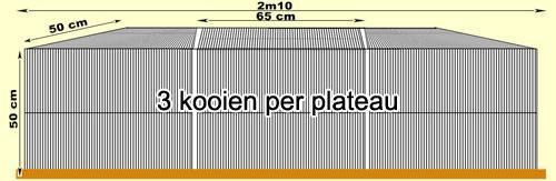 Kooien te koop, Animaux & Accessoires, Animaux Autre, Janvier