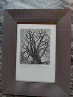 Ets van B Masquelin - eigen druk, Enlèvement