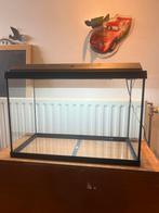 Aquarium juwel primolux 60 te koop, Dieren en Toebehoren, Ophalen