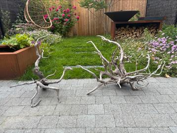 Spiderwood - nieuw beschikbaar voor biedingen