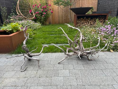 Spiderwood - nieuw, Dieren en Toebehoren, Vissen | Aquaria en Toebehoren, Nieuw, Plant(en), Steen of Hout, Ophalen