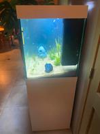 Juwel lido 200, Dieren en Toebehoren, Ophalen, Gebruikt