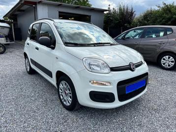 FIAT PANDA, Autos, Achat, 1205 cm³, Euro 6, Panda