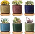 Succulente Plantenpot Set van 6 GRATIS LEVERING, Tuin en Terras, Bloempotten, Overige materialen, Verzenden, Rond, Nieuw