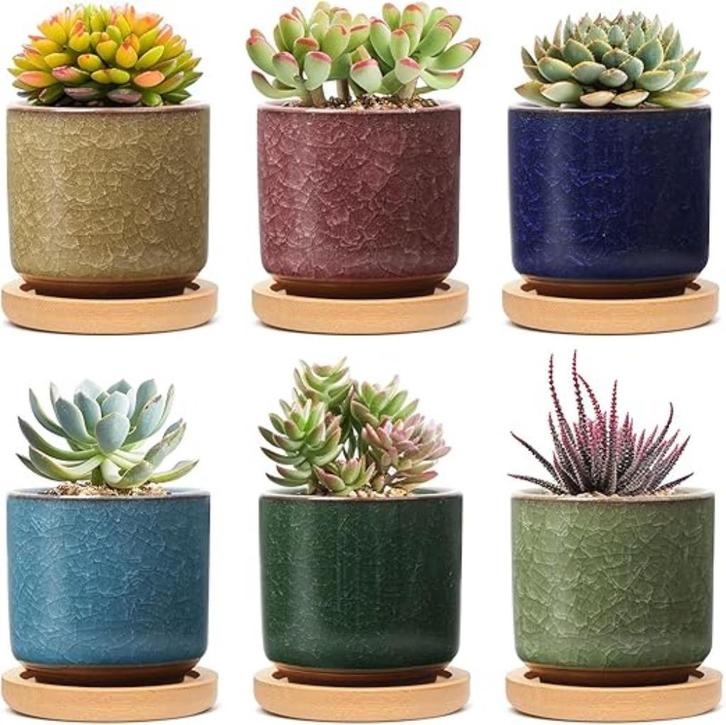Succulente Plantenpot Set van 6 GRATIS LEVERING, Tuin en Terras, Bloempotten, Nieuw, Overige materialen, Binnen, Balkon, Tuin
