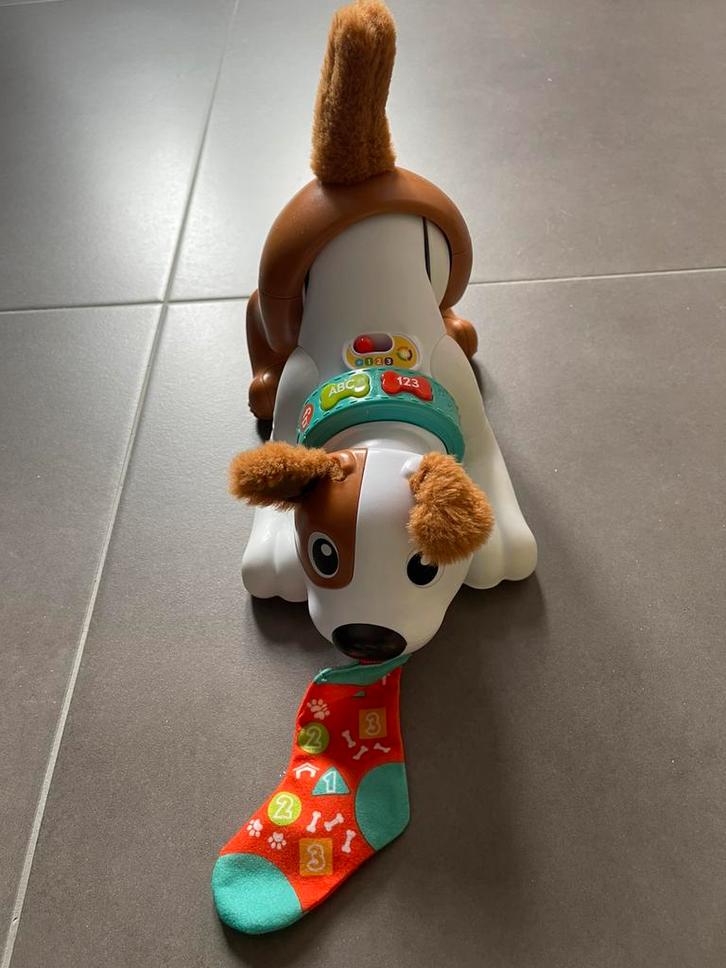 Fisher Price - kruip met puppy, Kinderen en Baby's, Speelgoed | Babyspeelgoed, Zo goed als nieuw, Met licht, Met geluid, Ophalen