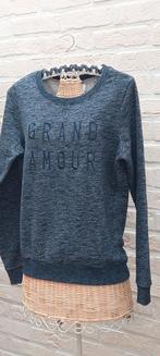 Trui maat l bien bleu, Kleding | Dames, Overige kleuren, Maat 42/44 (L), Ophalen of Verzenden, Zo goed als nieuw
