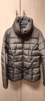 Winterjas maat large, Kleding | Dames, Jassen | Winter, Ophalen