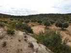 Finca in Maella (Aragón, Spanje) - 1088, Immo, Buitenland, Overige soorten, Spanje, Landelijk