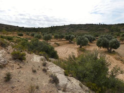 Finca in Maella (Aragón, Spanje) - 1088, Immo, Buitenland, Spanje, Overige soorten, Landelijk