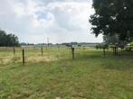 Weide te huur, Dieren en Toebehoren, Stalling en Weidegang