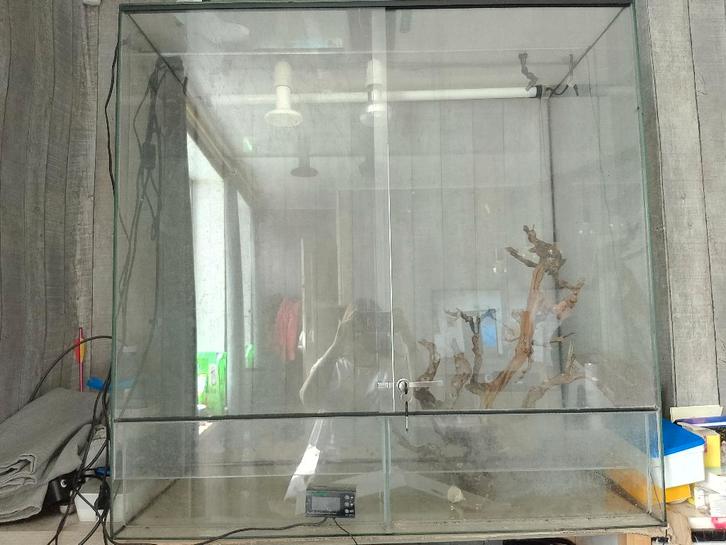 A vendre terrarium complet, Dieren en Toebehoren, Reptielen en Amfibieën | Toebehoren, Gebruikt, Terrarium of Paludarium, Ophalen