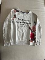 Pull Lola Liza taille S, Vêtements | Femmes, Enlèvement ou Envoi, Comme neuf, Lola Liza, Taille 36 (S)