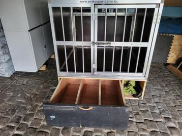 Cage chiens beschikbaar voor biedingen